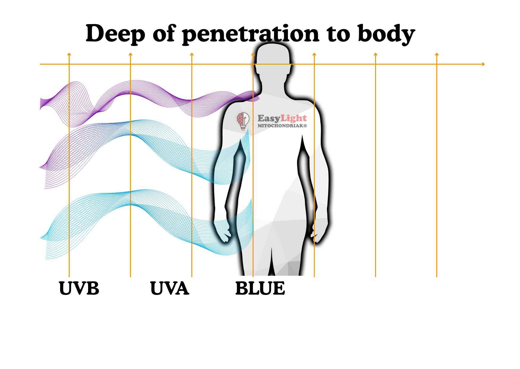 Mitochondriak® light therapy